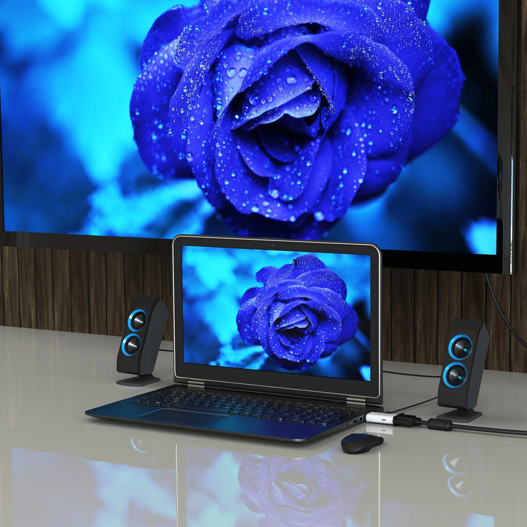 HDMI™ to VGA Video Adapter Converter with Audio - Image 8